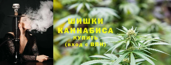 прущие грибы Корсаков