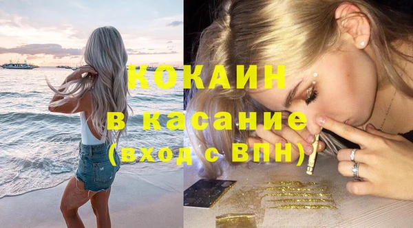 прущие грибы Корсаков