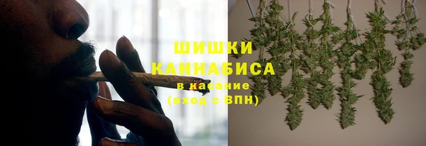 стаф Костерёво