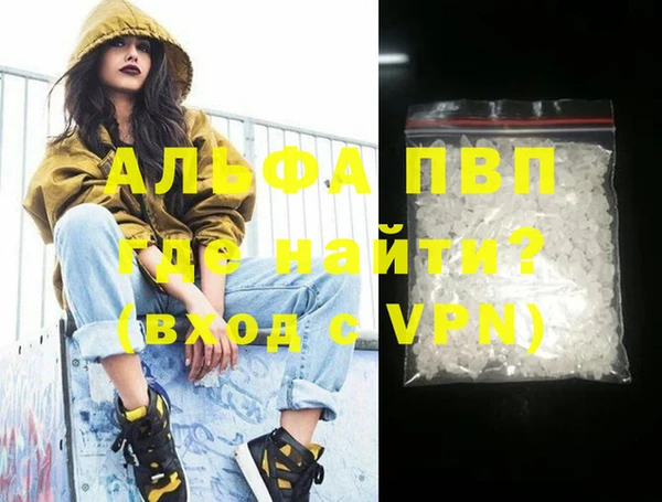прущие грибы Корсаков