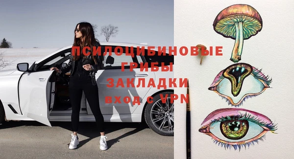 прущие грибы Корсаков