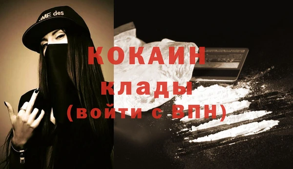 прущие грибы Корсаков