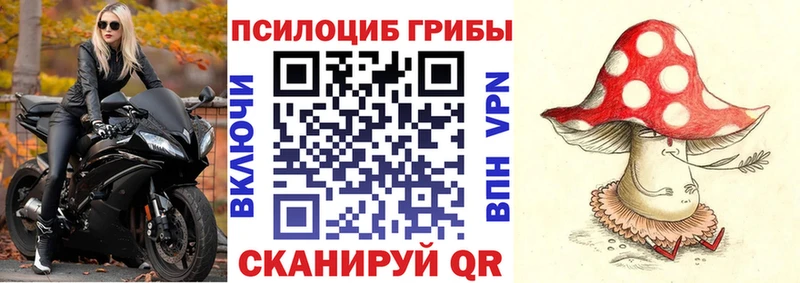 где купить   Коркино  MEGA как войти  Галлюциногенные грибы прущие грибы 