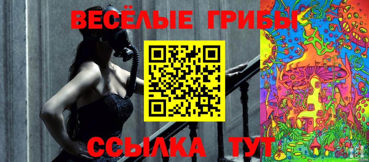 Коркино  Псилоцибиновые грибы мухоморы  продажа наркотиков  Вход с VPN 
